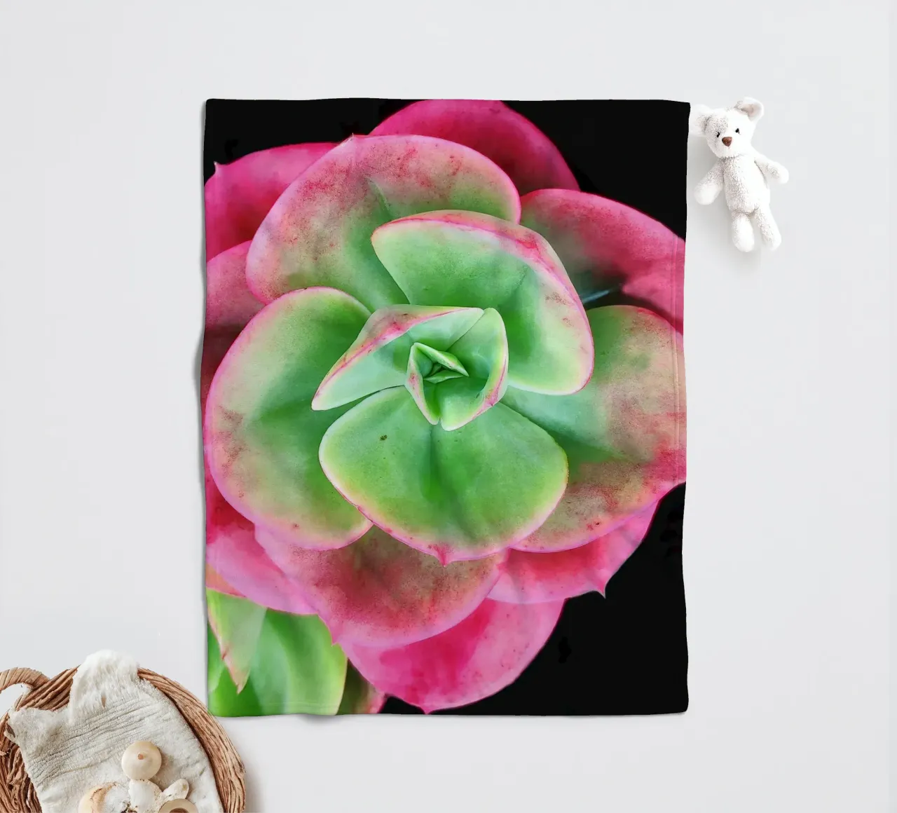 Succulenta rosa e verde coperta in pile da Teresa André