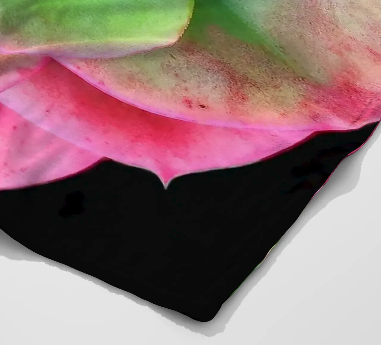 Succulenta rosa e verde coperta in pile da Teresa André