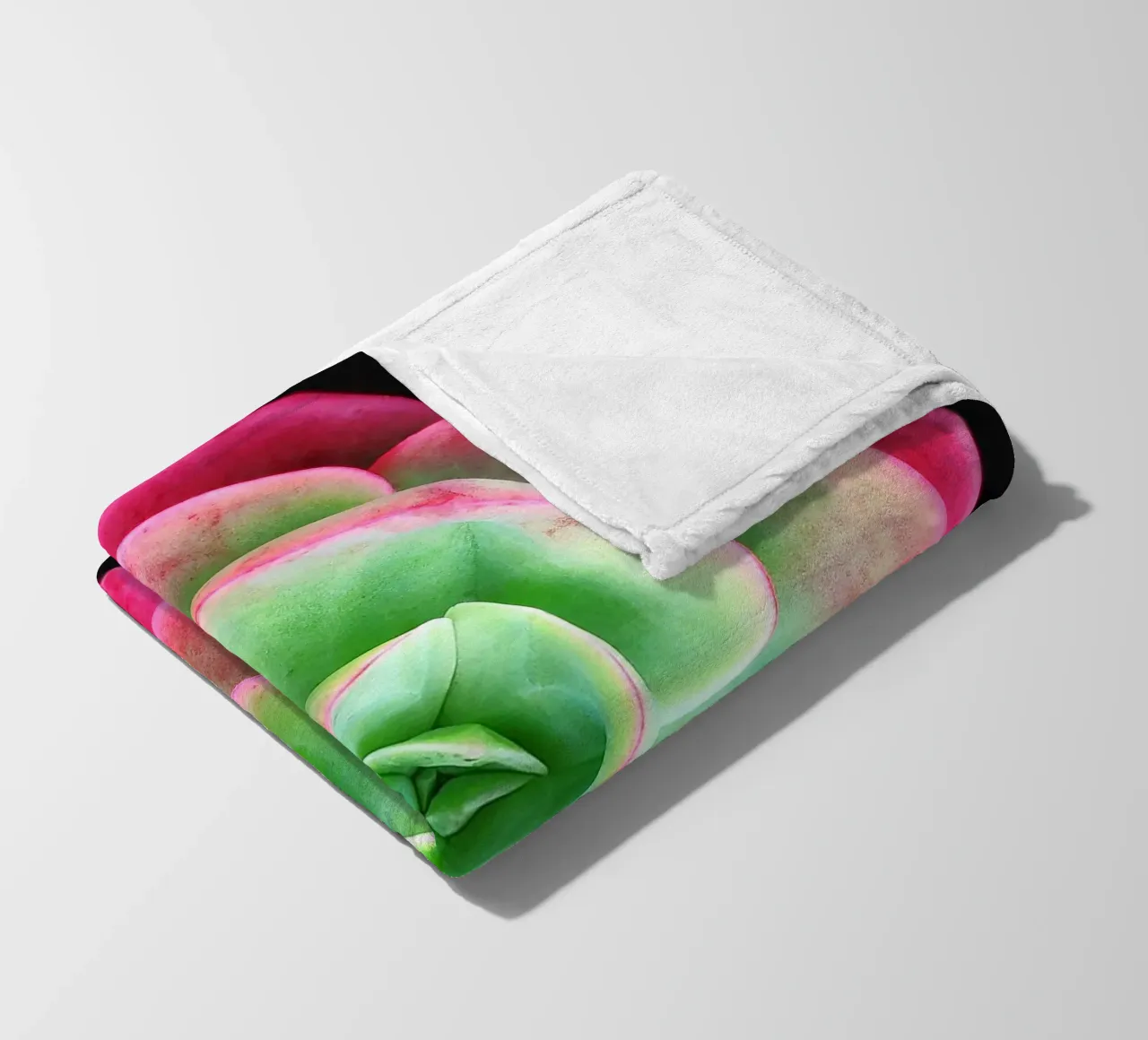 Succulenta rosa e verde coperta in pile da Teresa André