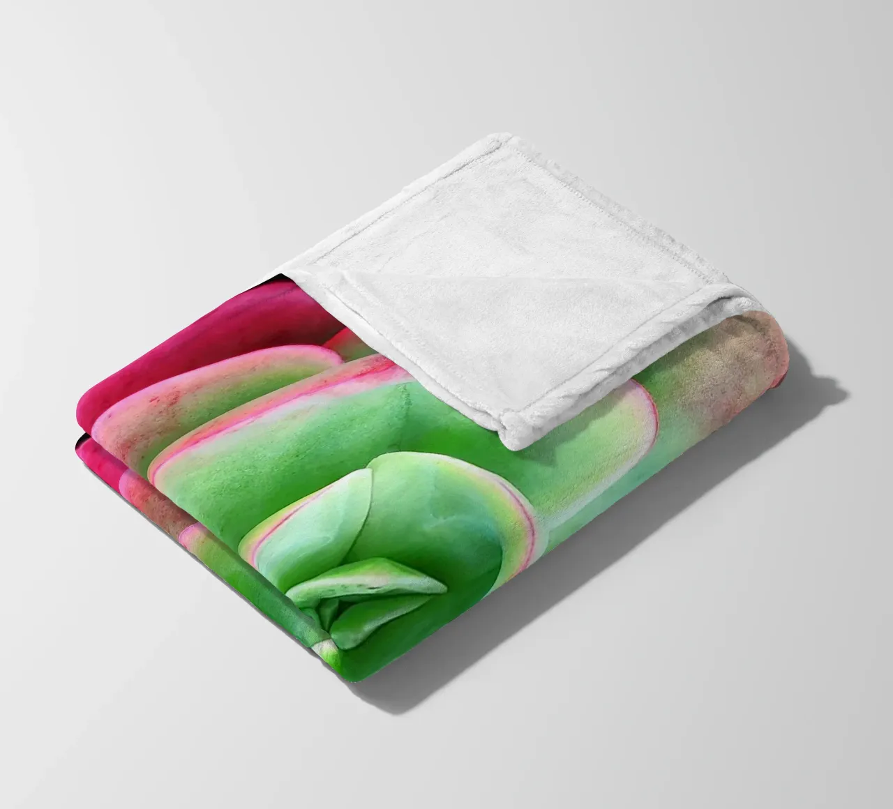 Succulenta rosa e verde coperta in pile da Teresa André