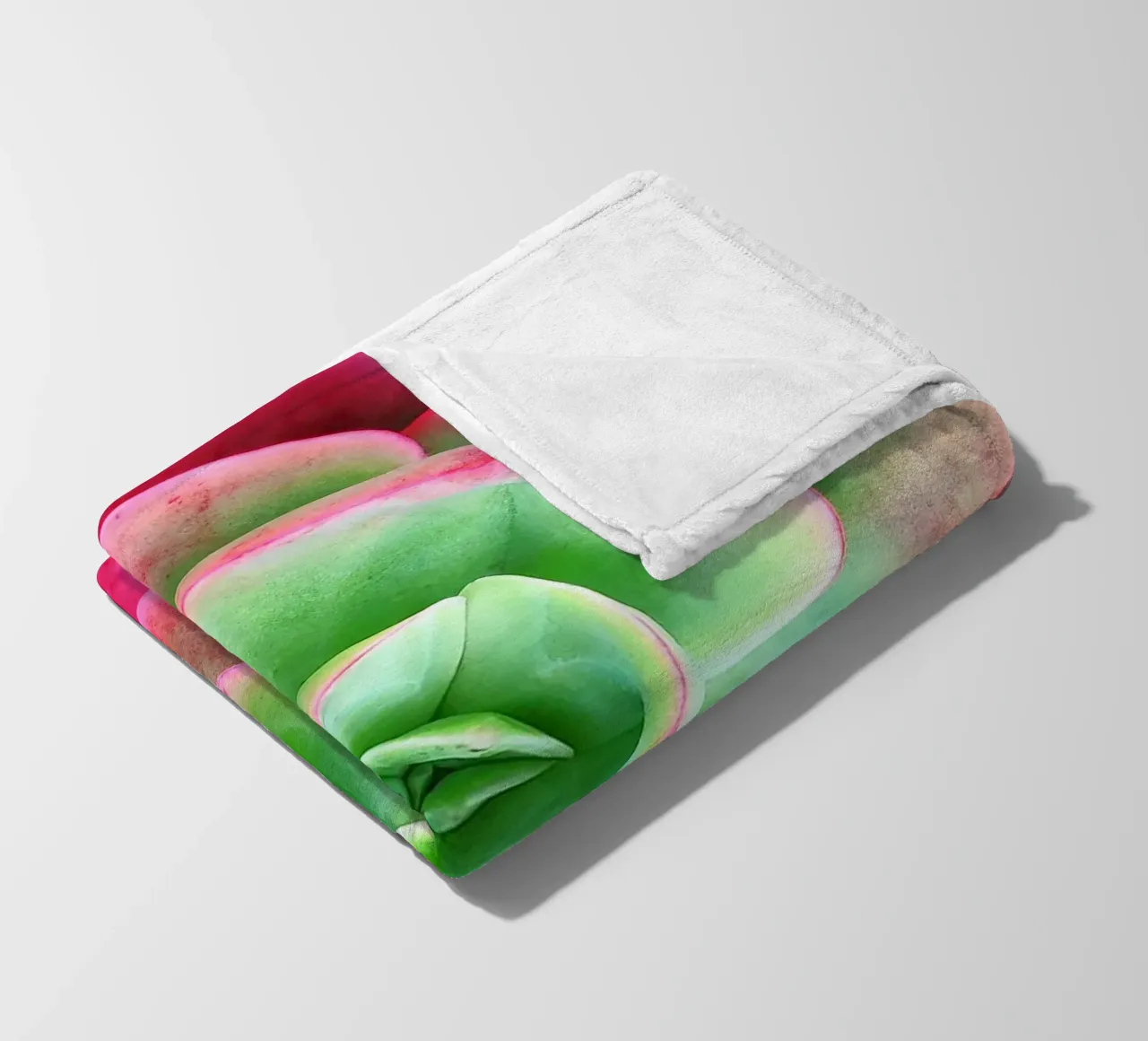 Succulenta rosa e verde coperta in pile da Teresa André