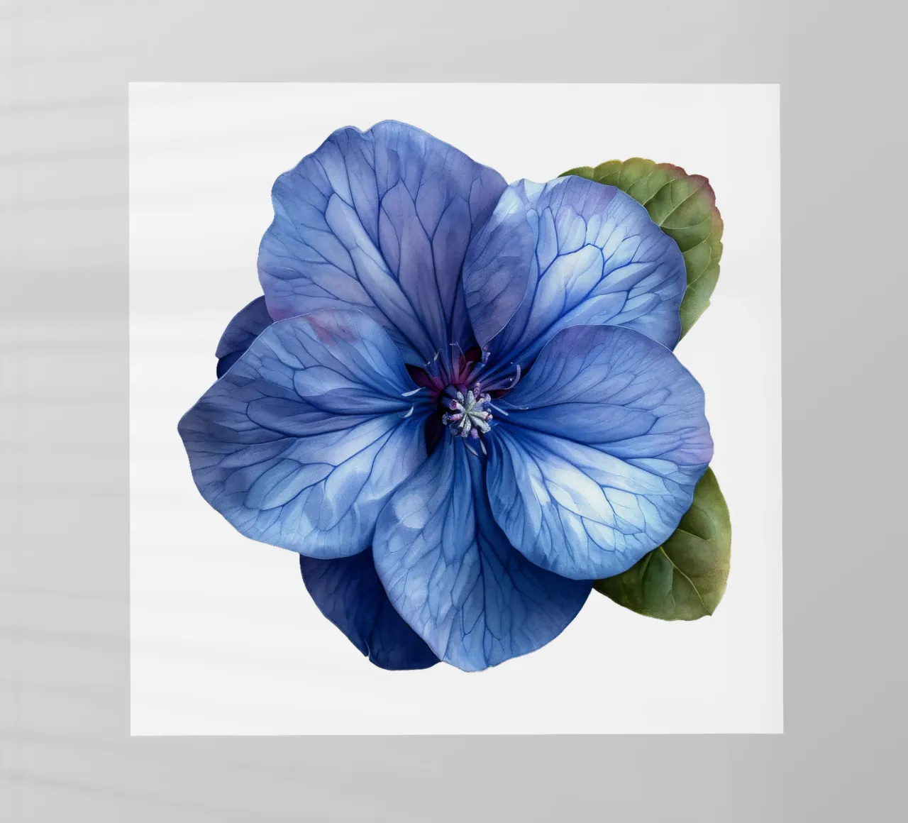 Fiore di pervinca pellicola backlit da Bold Blooms