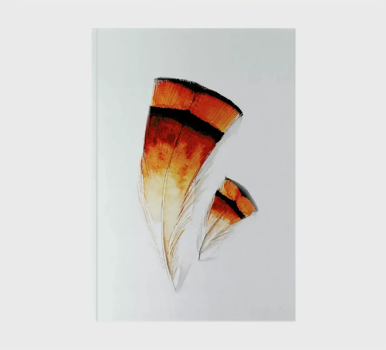 Pheasant Feathers notebook by Karolina Kijak