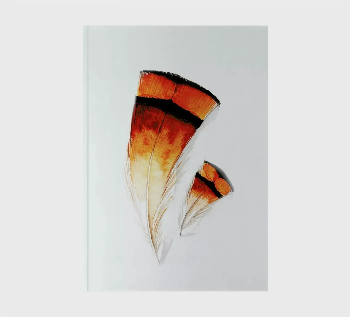 Pheasant Feathers carnet de Karolina Kijak