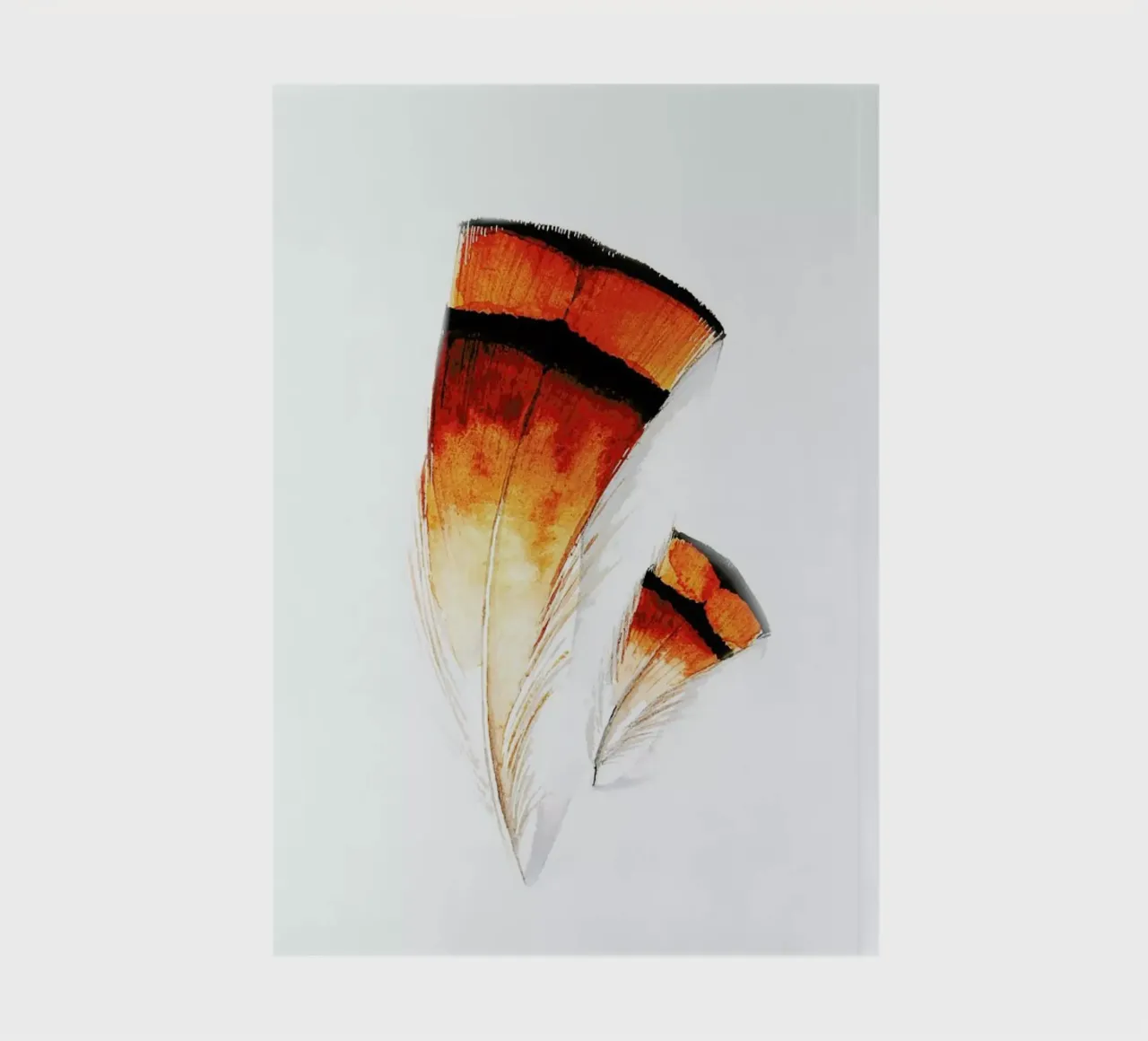 Pheasant Feathers notebook by Karolina Kijak