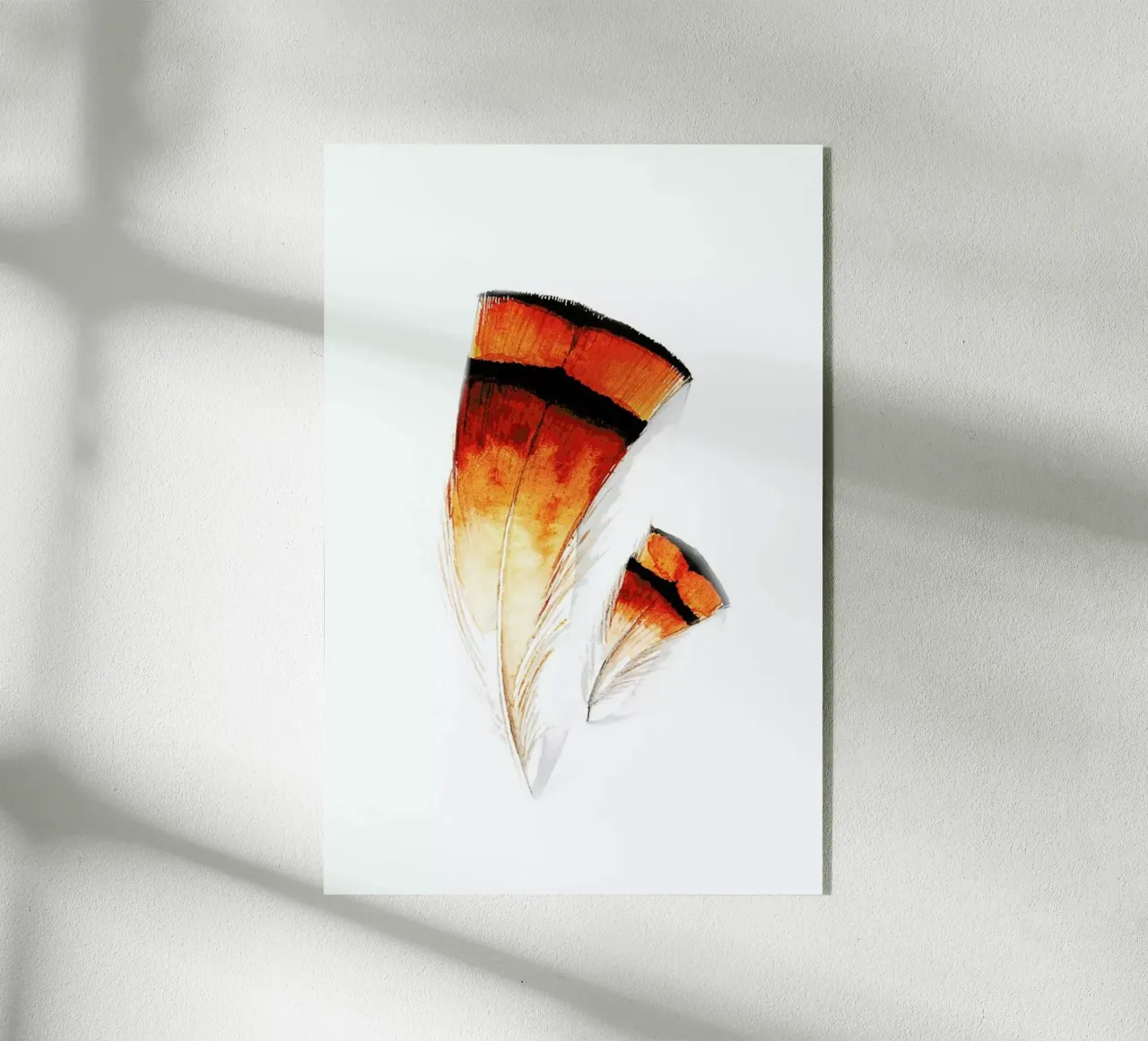 Pheasant Feathers plexiglass da Karolina Kijak