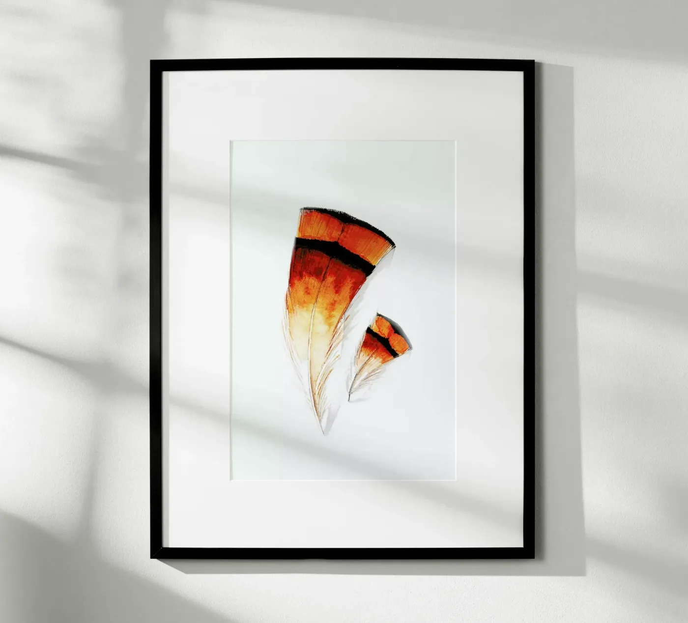 Pheasant Feathers poster by Karolina Kijak