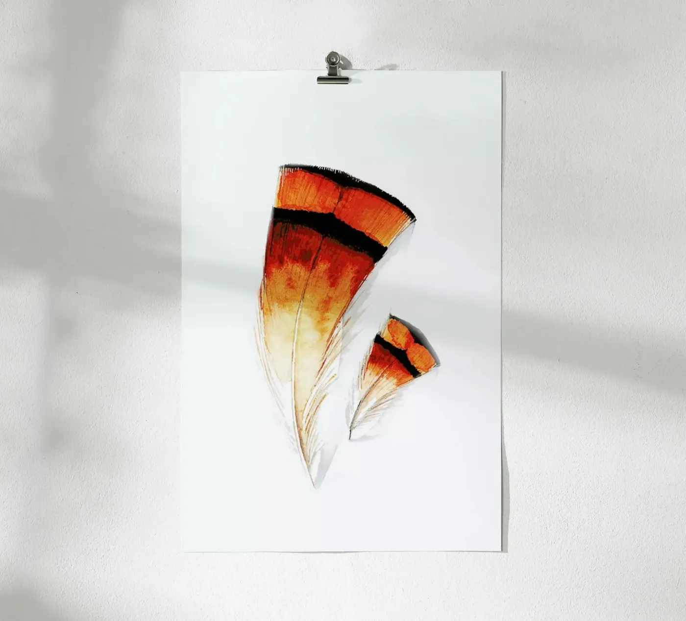Pheasant Feathers poster by Karolina Kijak