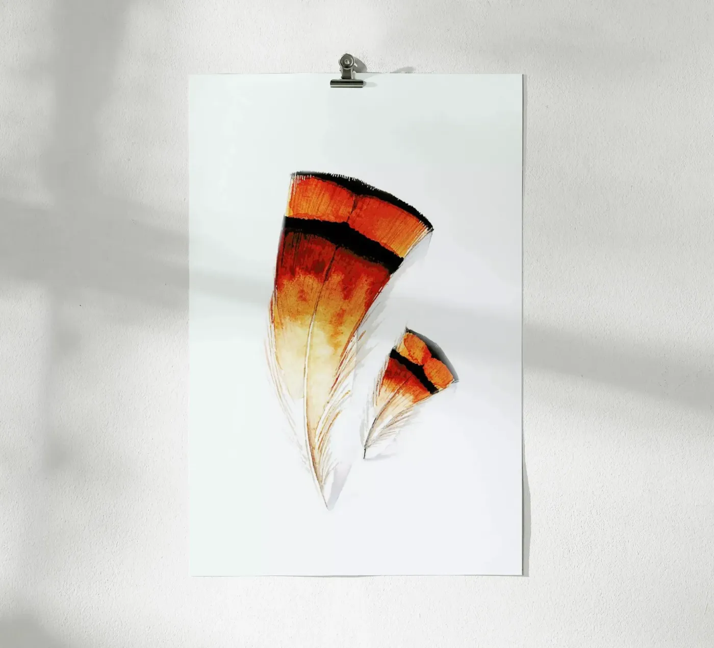 Pheasant Feathers poster van Karolina Kijak