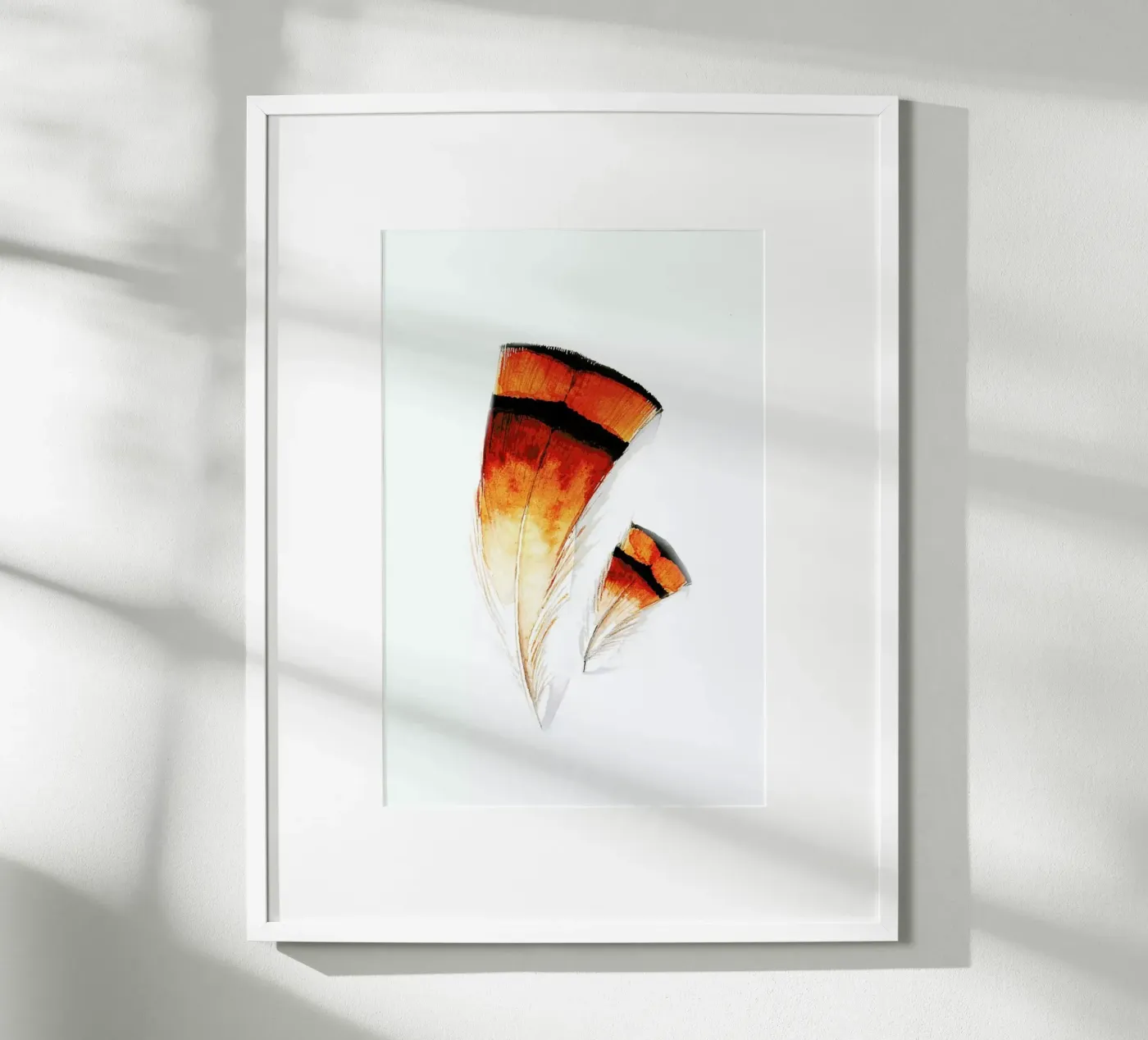 Pheasant Feathers poster by Karolina Kijak