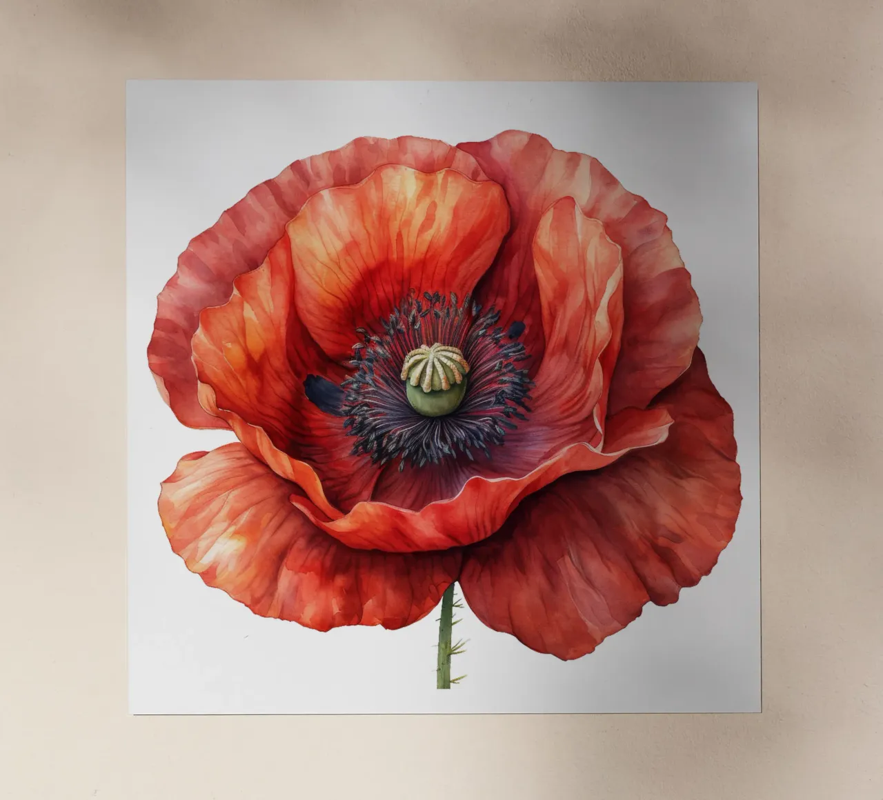 Fiore di papavero pellicola backlit da Bold Blooms