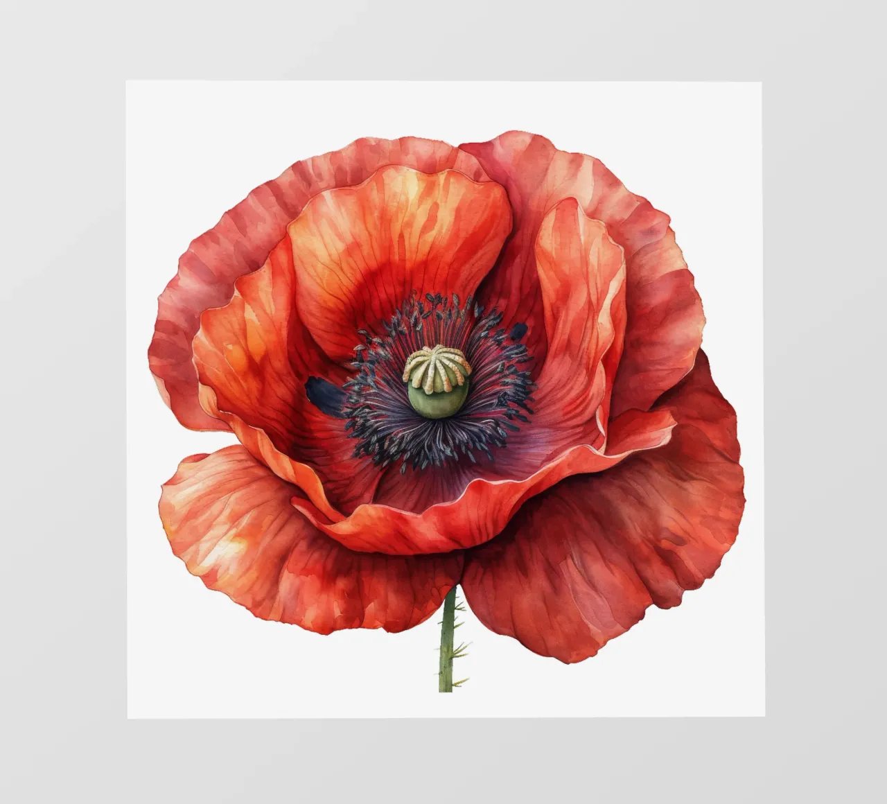 Fiore di papavero pellicola backlit da Bold Blooms