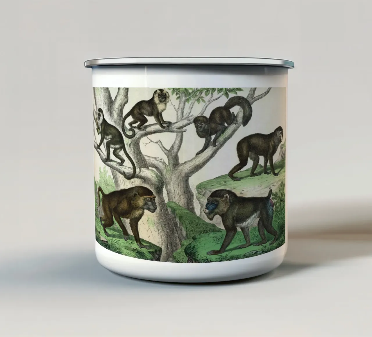 Vintage Schubert 1 Affen 2 tazza in smalto da Vintage Print Collection