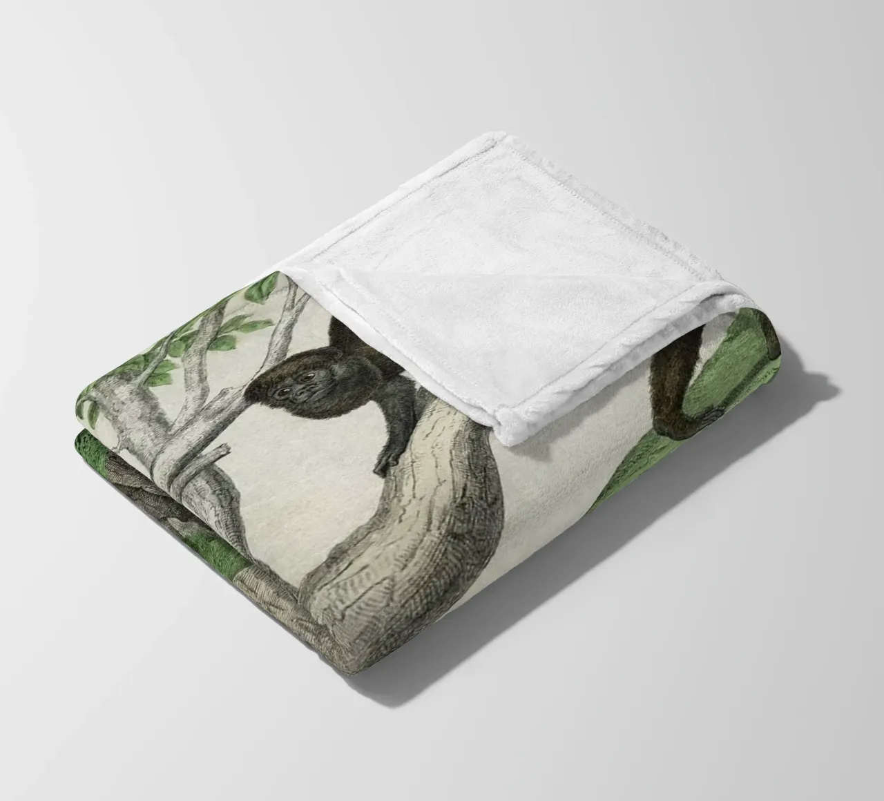 Vintage Schubert 1 Affen 2 coperta in pile da Vintage Print Collection