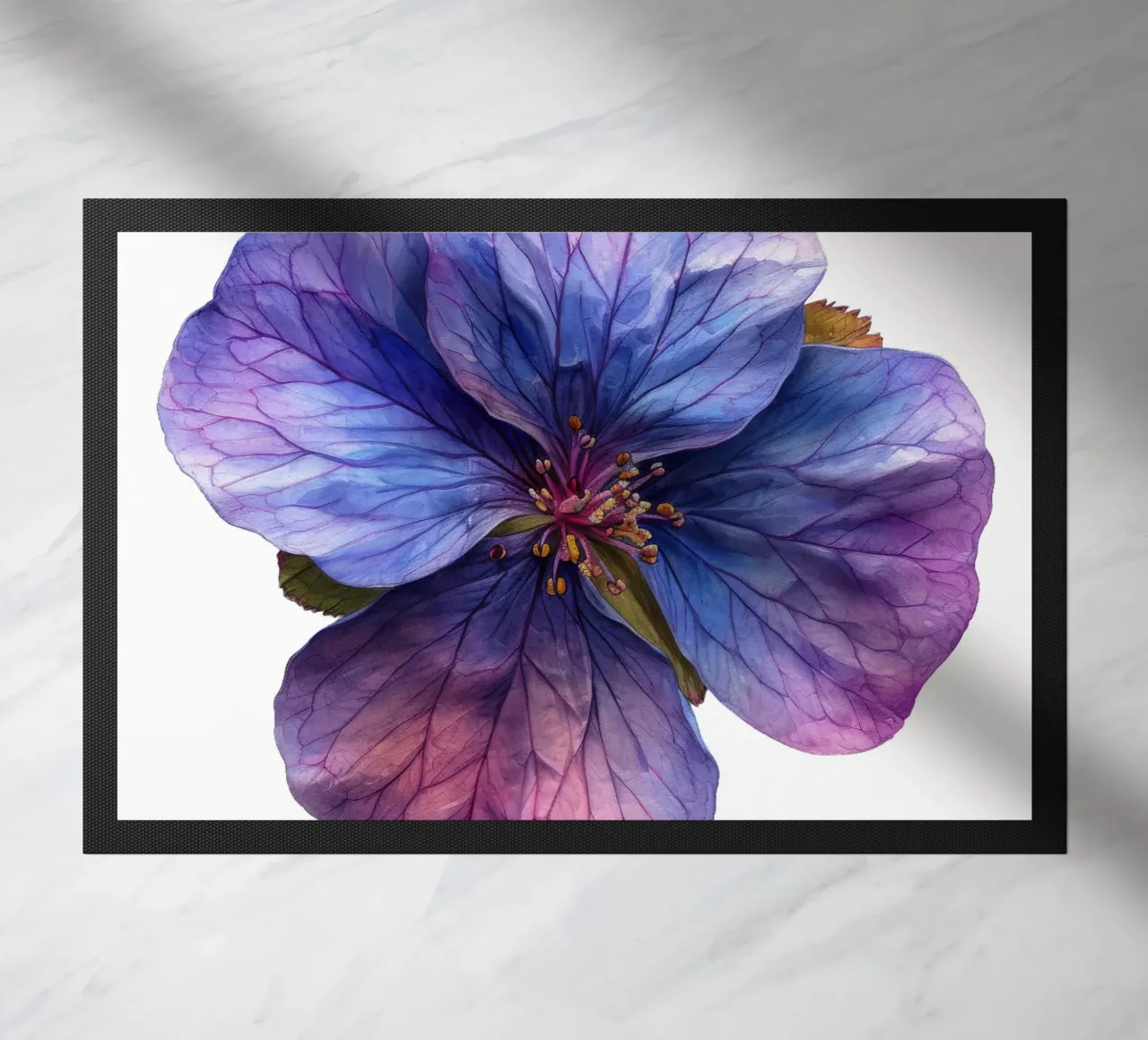 Fiore di primula zerbino da Bold Blooms