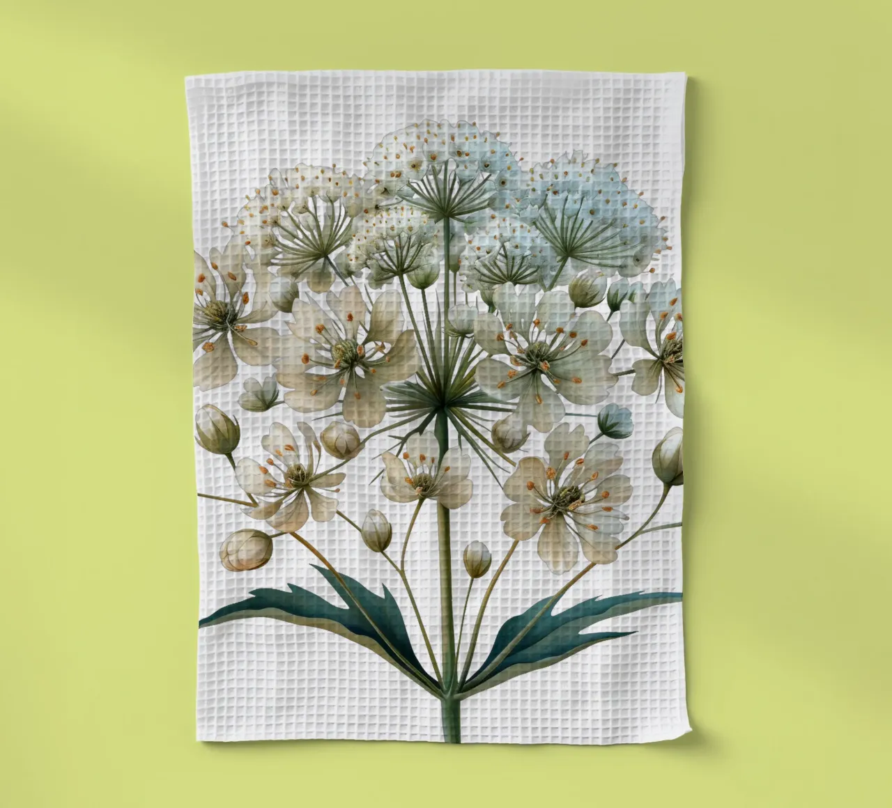 Fiore in pizzo Queen Annes canovaccio da cucina da Bold Blooms