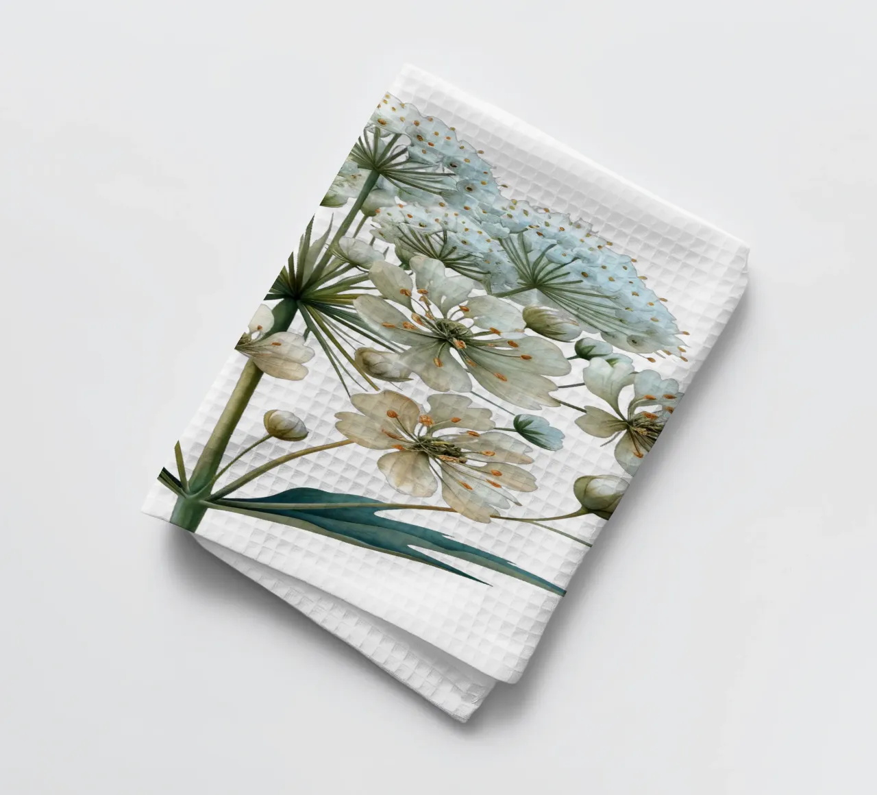 Fiore in pizzo Queen Annes canovaccio da cucina da Bold Blooms