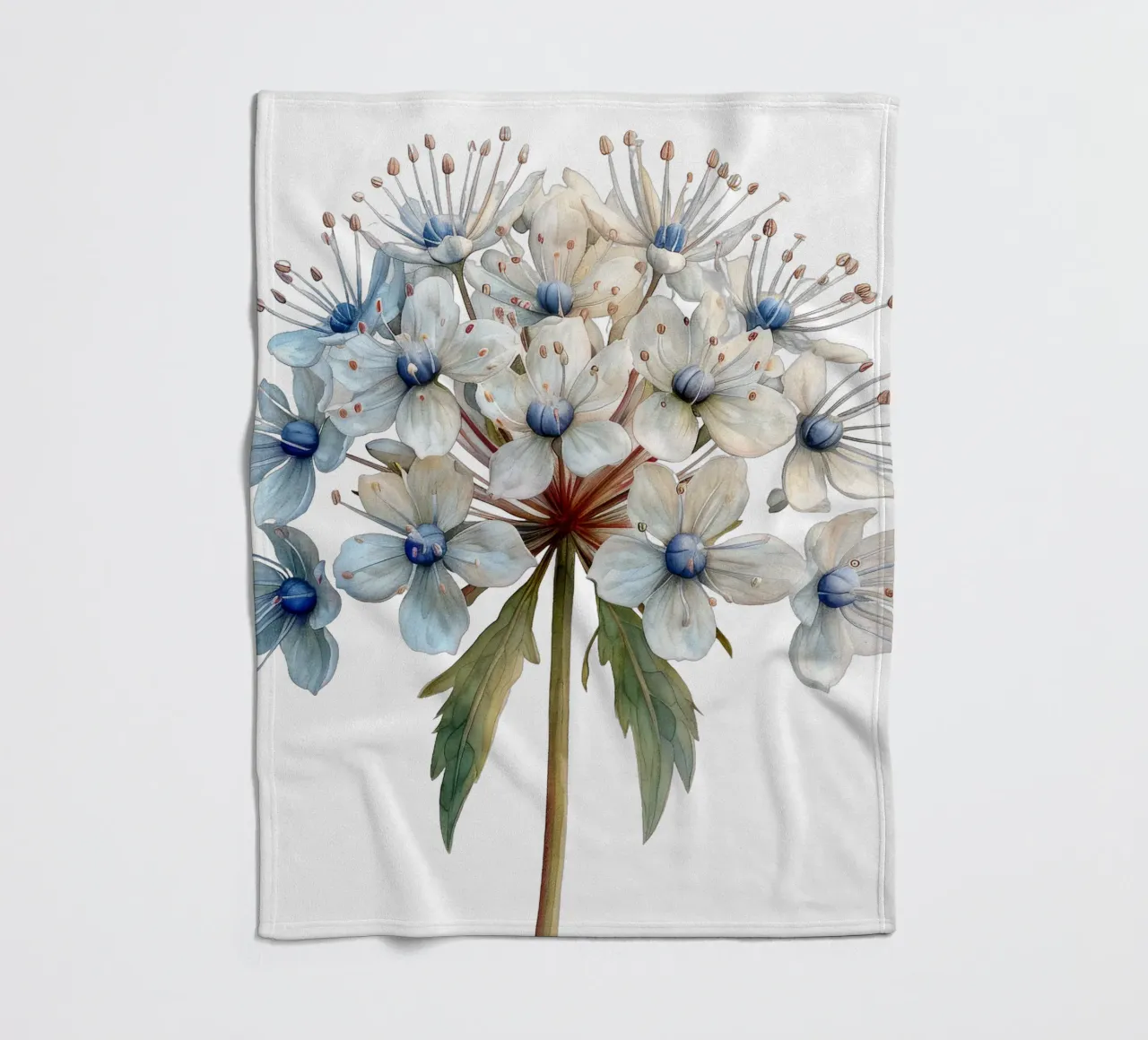 Fiore in pizzo Queen Annes coperta in pile da Bold Blooms