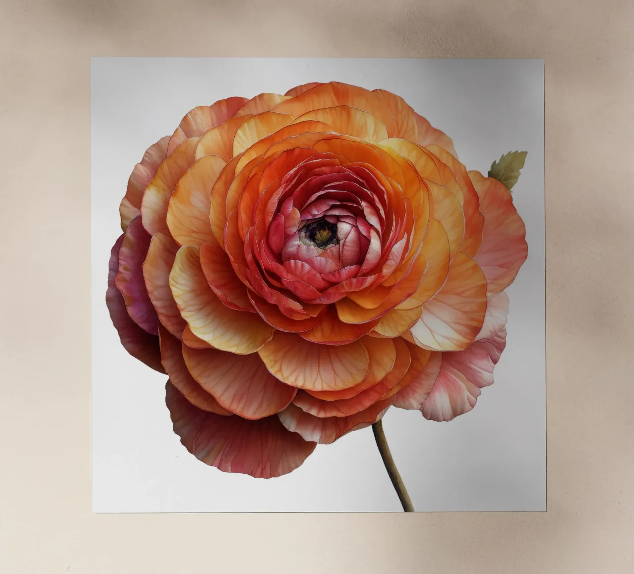 Fiore di ranuncolo pellicola backlit da Bold Blooms