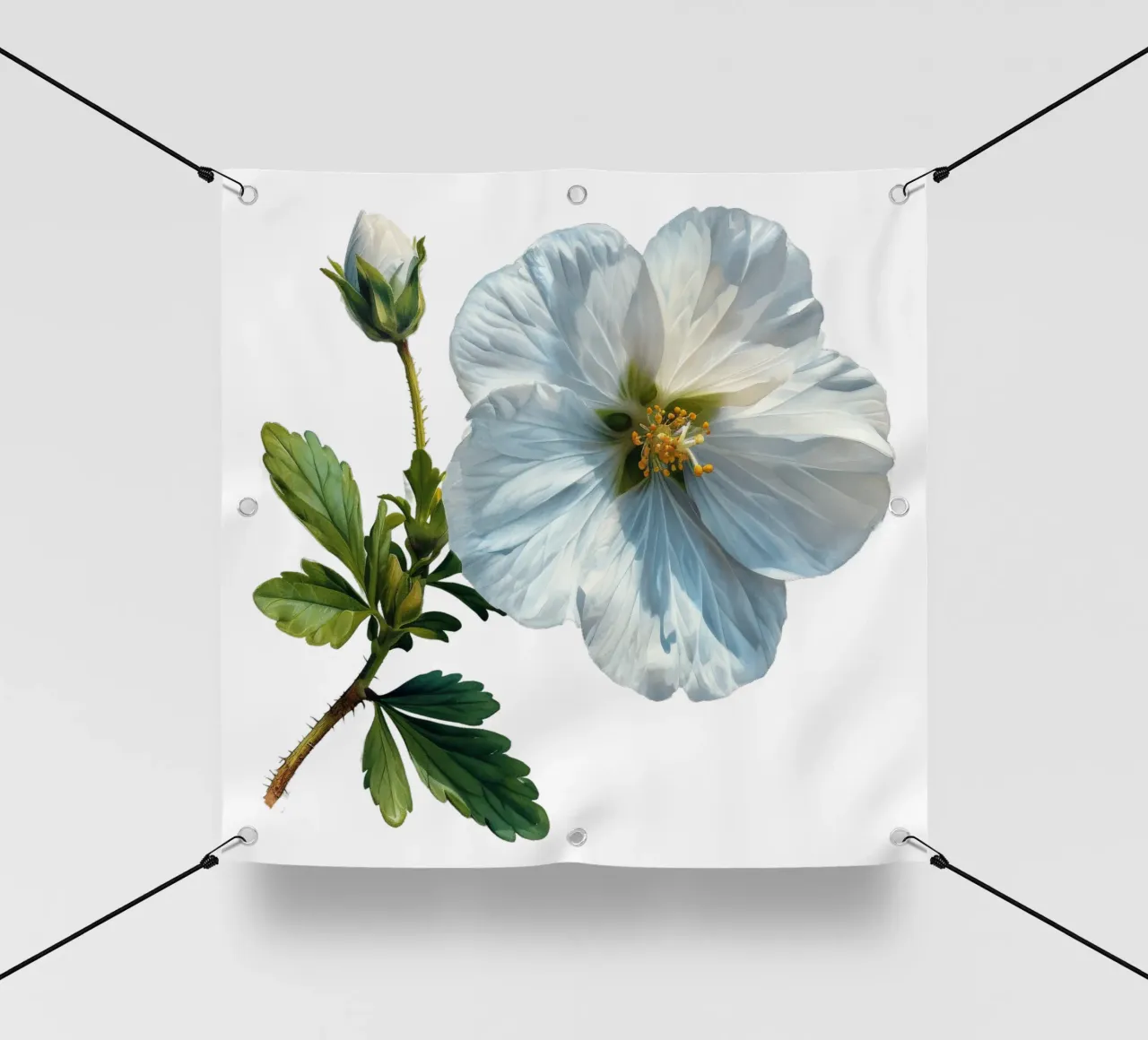 Fiore di Rockrose telo in pvc da Bold Blooms