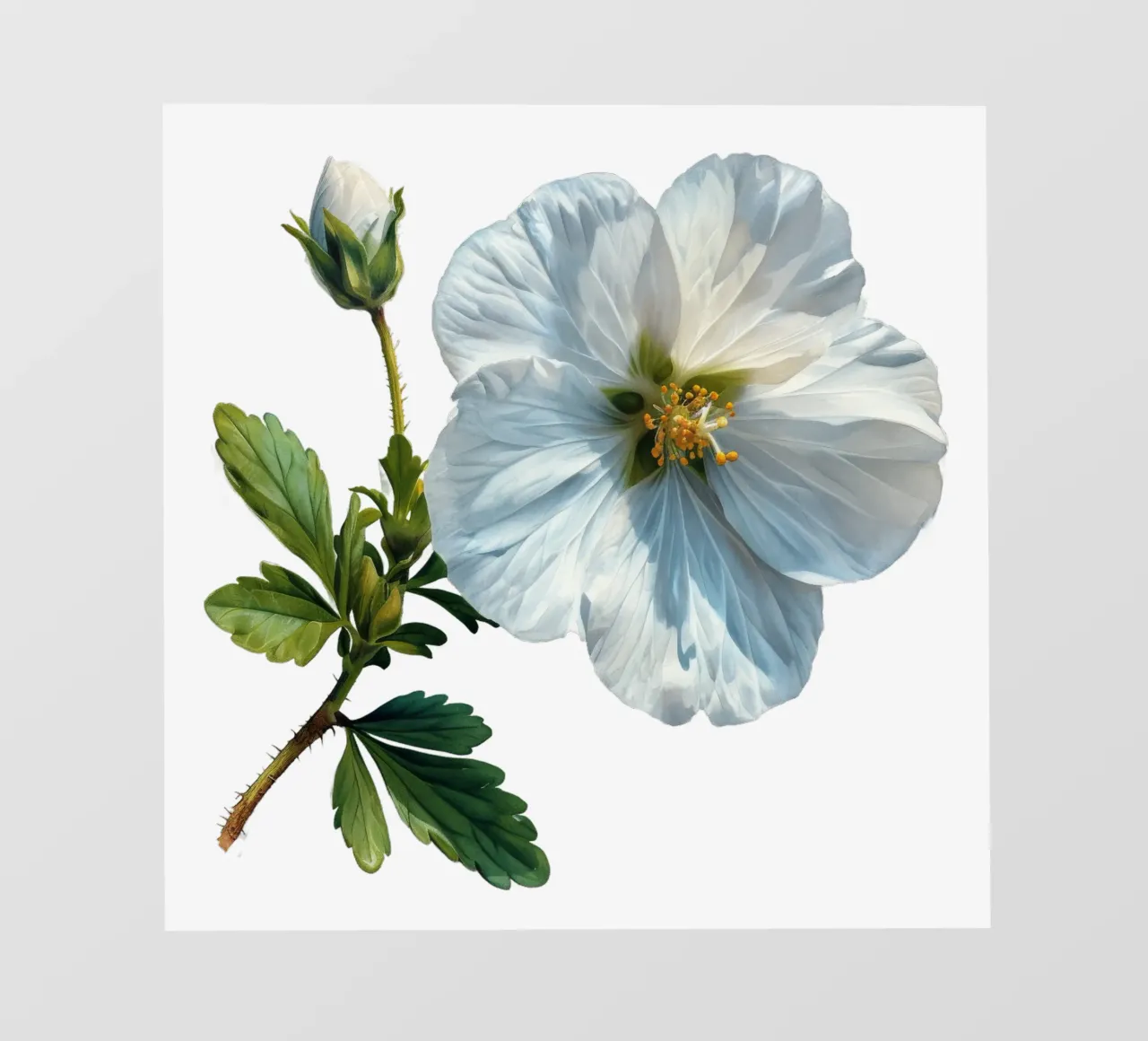 Fiore di Rockrose telo in pvc da Bold Blooms