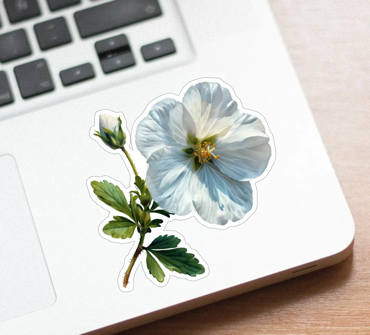 Fiore di Rockrose adesivo da Bold Blooms