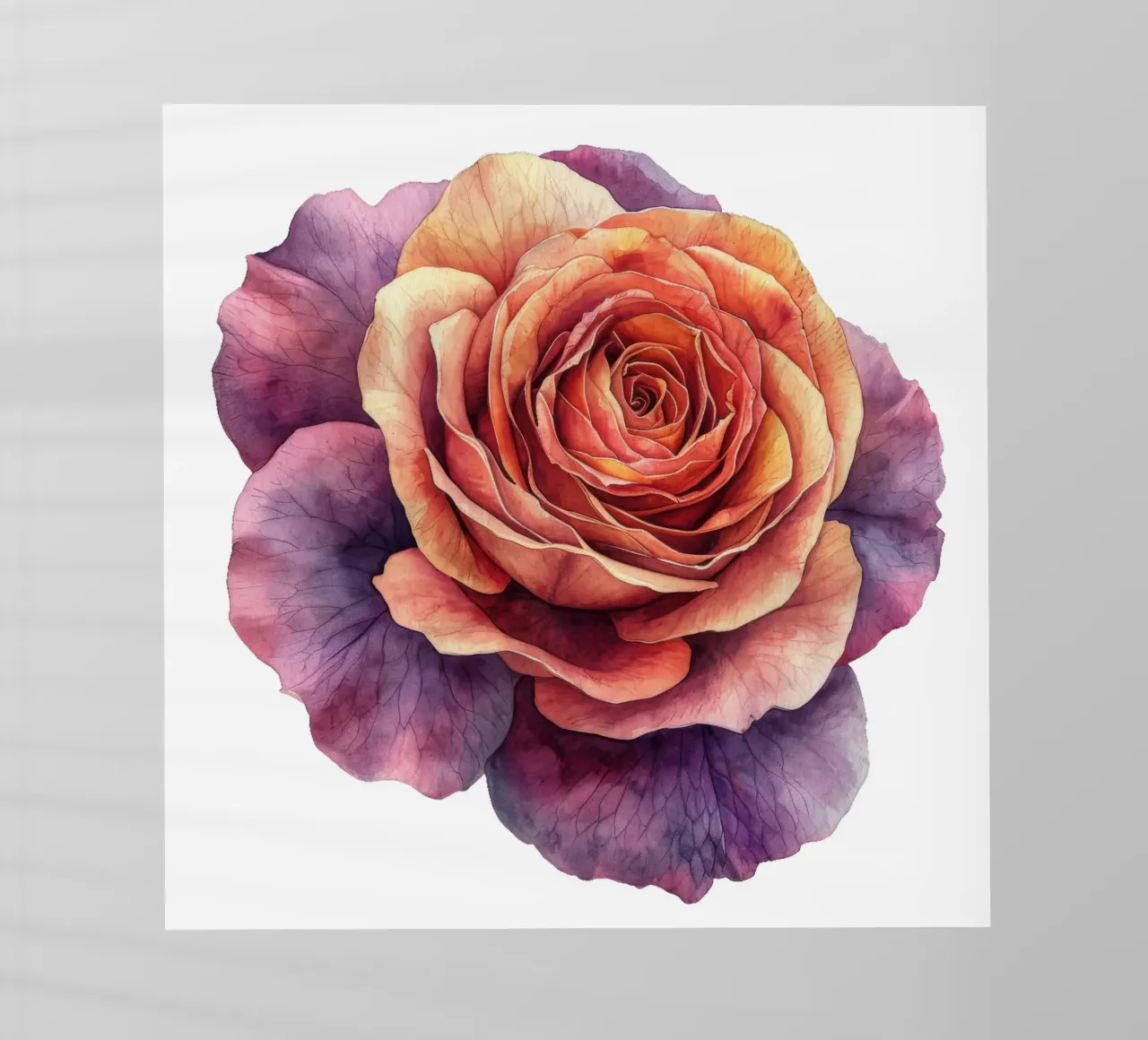 Flor de rosa lámina retroiluminada de Bold Blooms