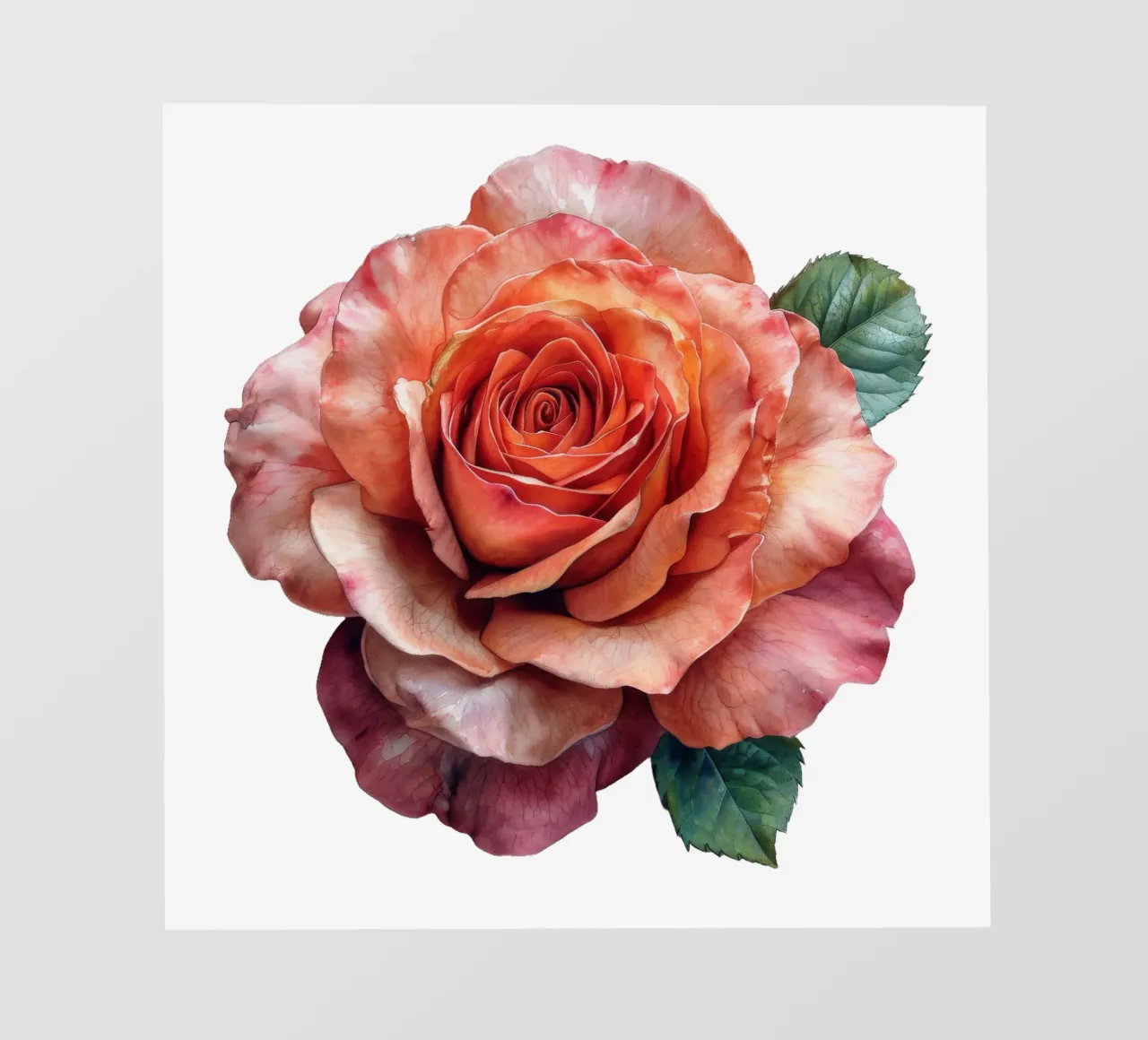 Rose Flower pvc cover by Bold Blooms