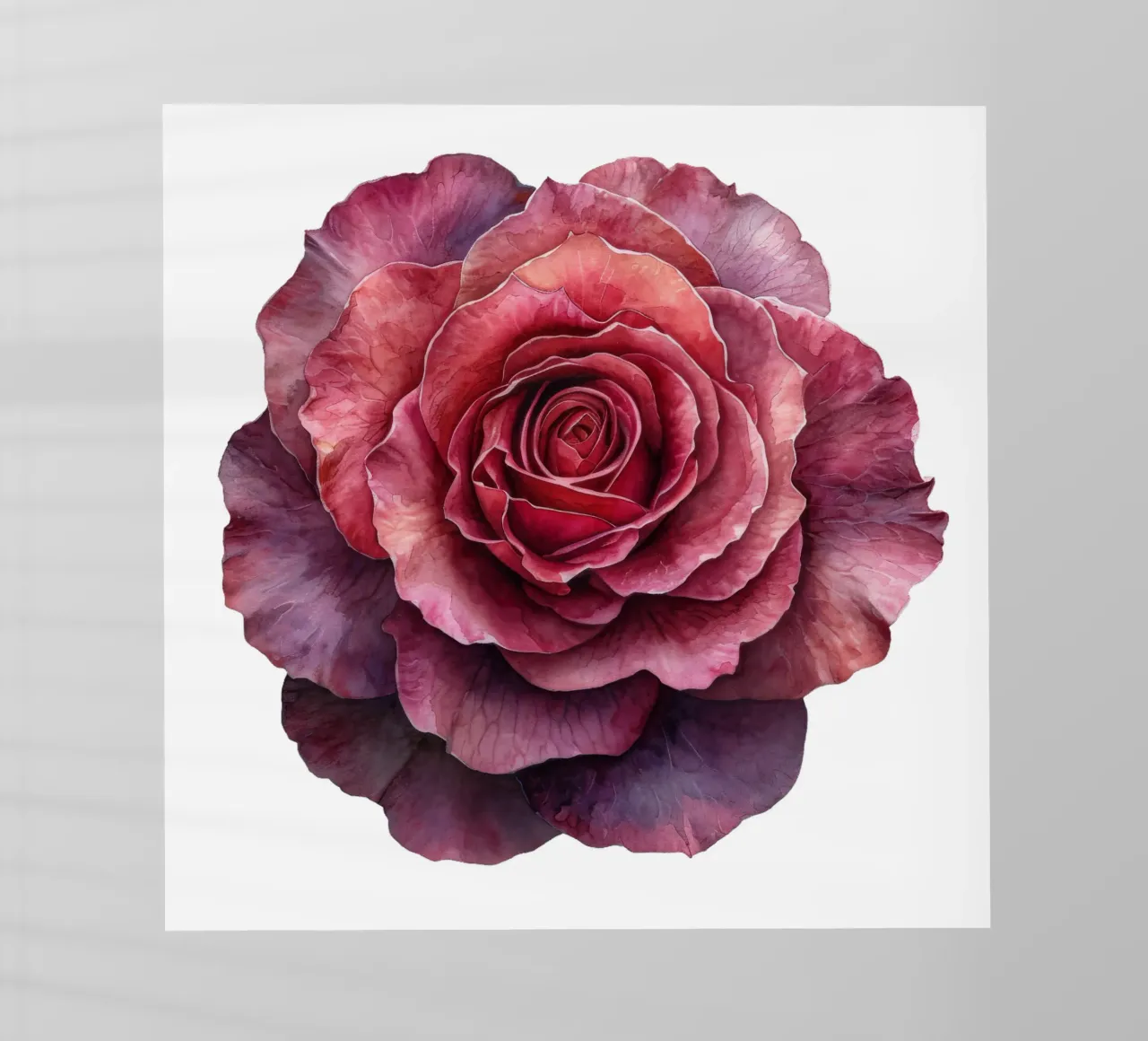 Fiore di rosa pellicola backlit da Bold Blooms