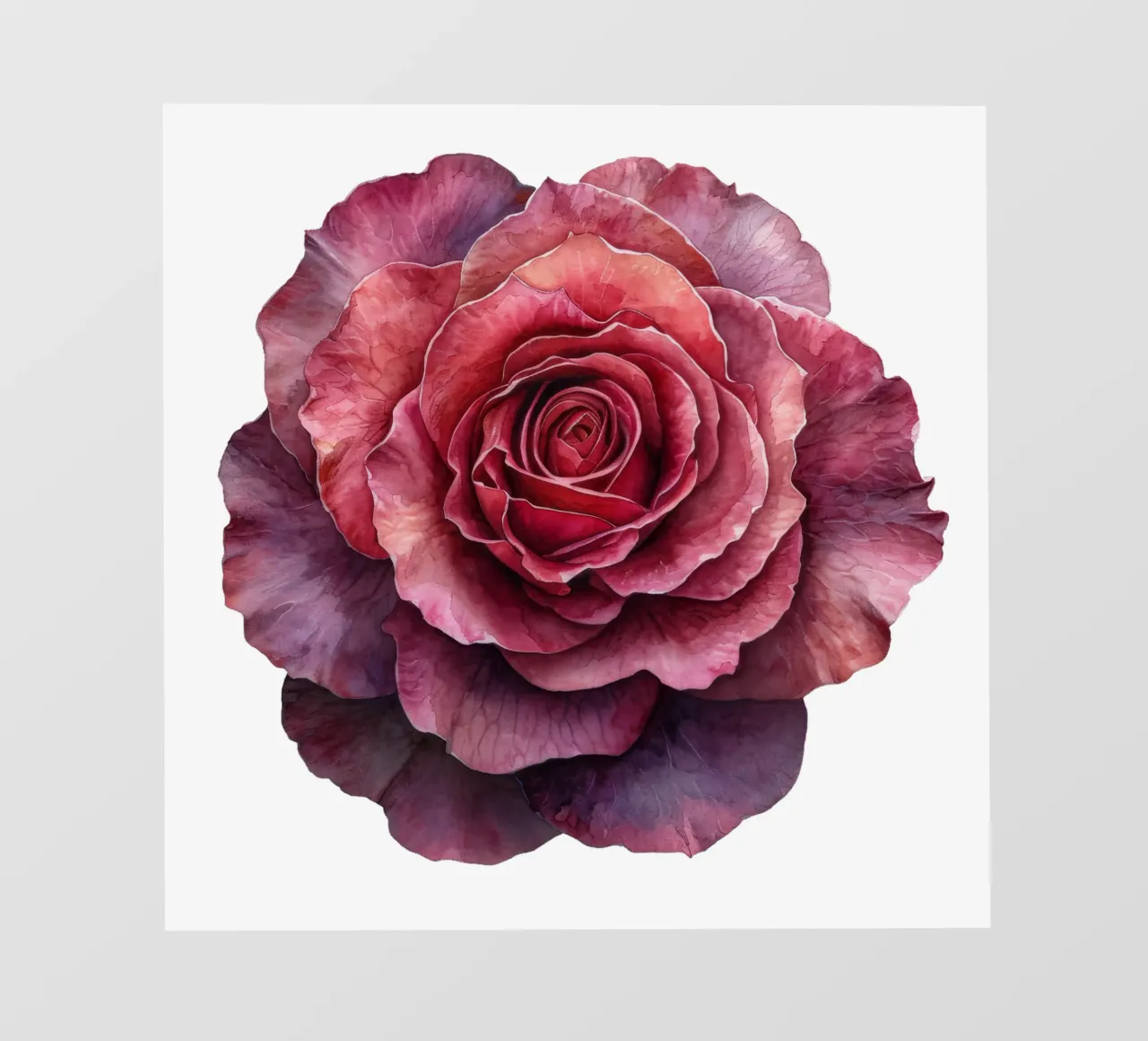 Fiore di rosa pellicola backlit da Bold Blooms