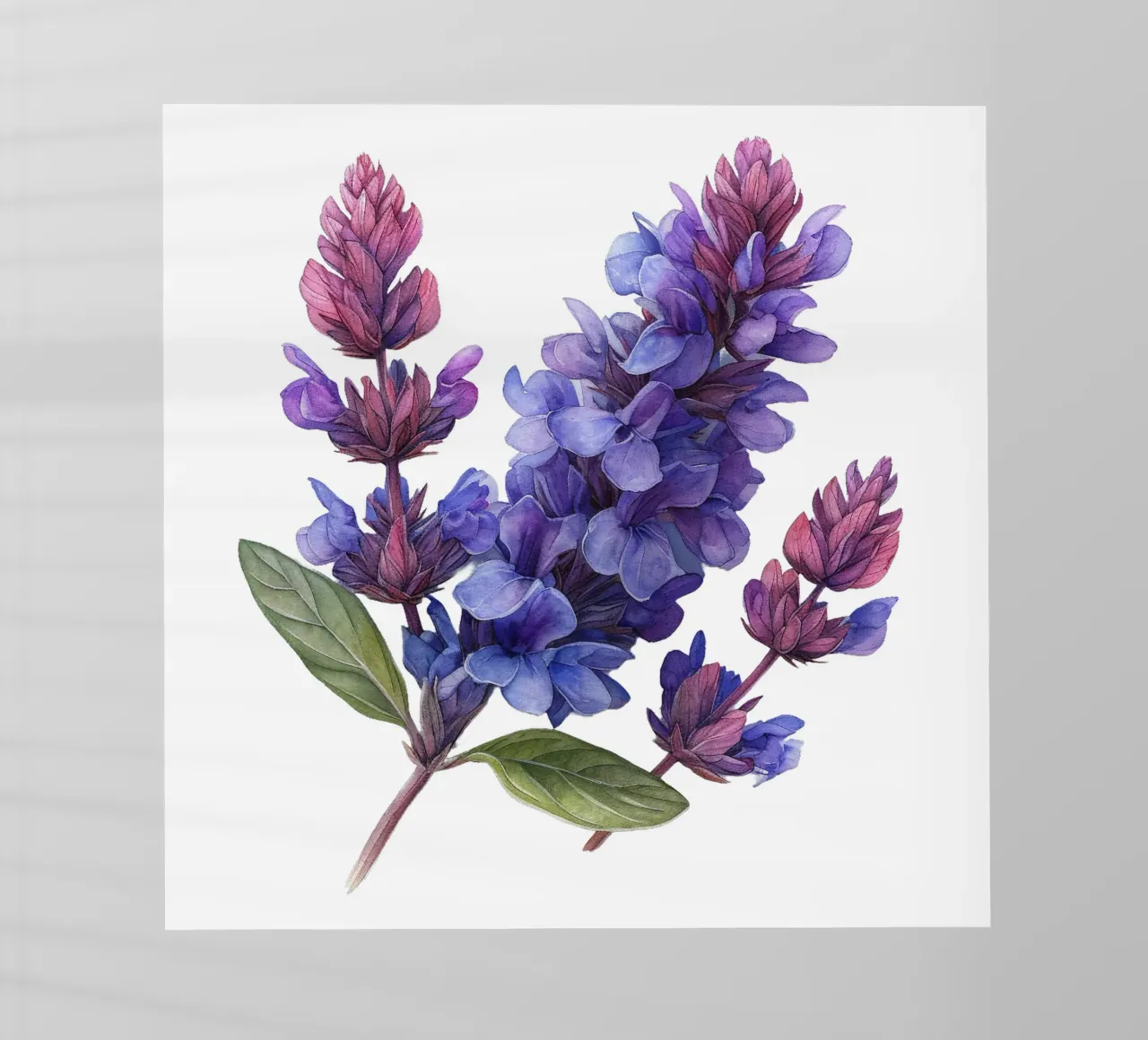 Fiore di salvia pellicola backlit da Bold Blooms