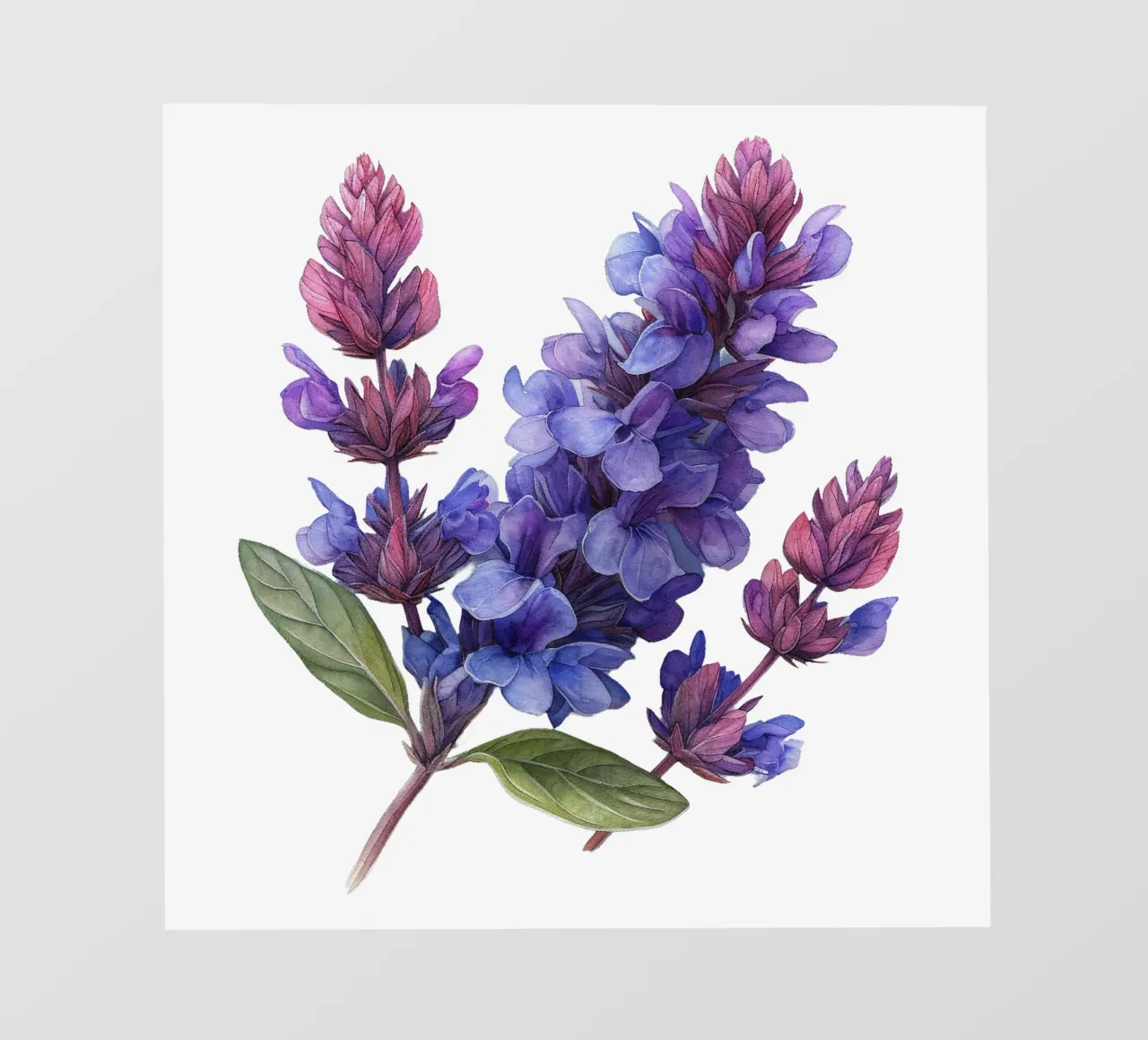 Fiore di salvia pellicola backlit da Bold Blooms