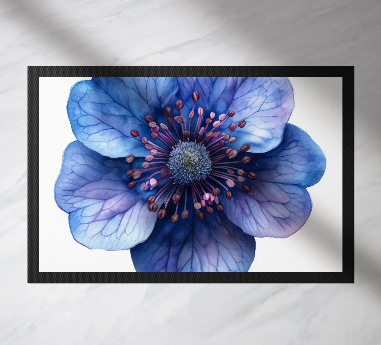 Fiore di scabiosa zerbino da Bold Blooms