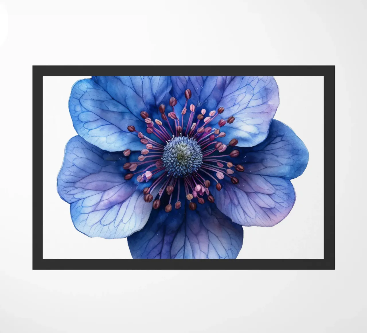 Fiore di scabiosa zerbino da Bold Blooms