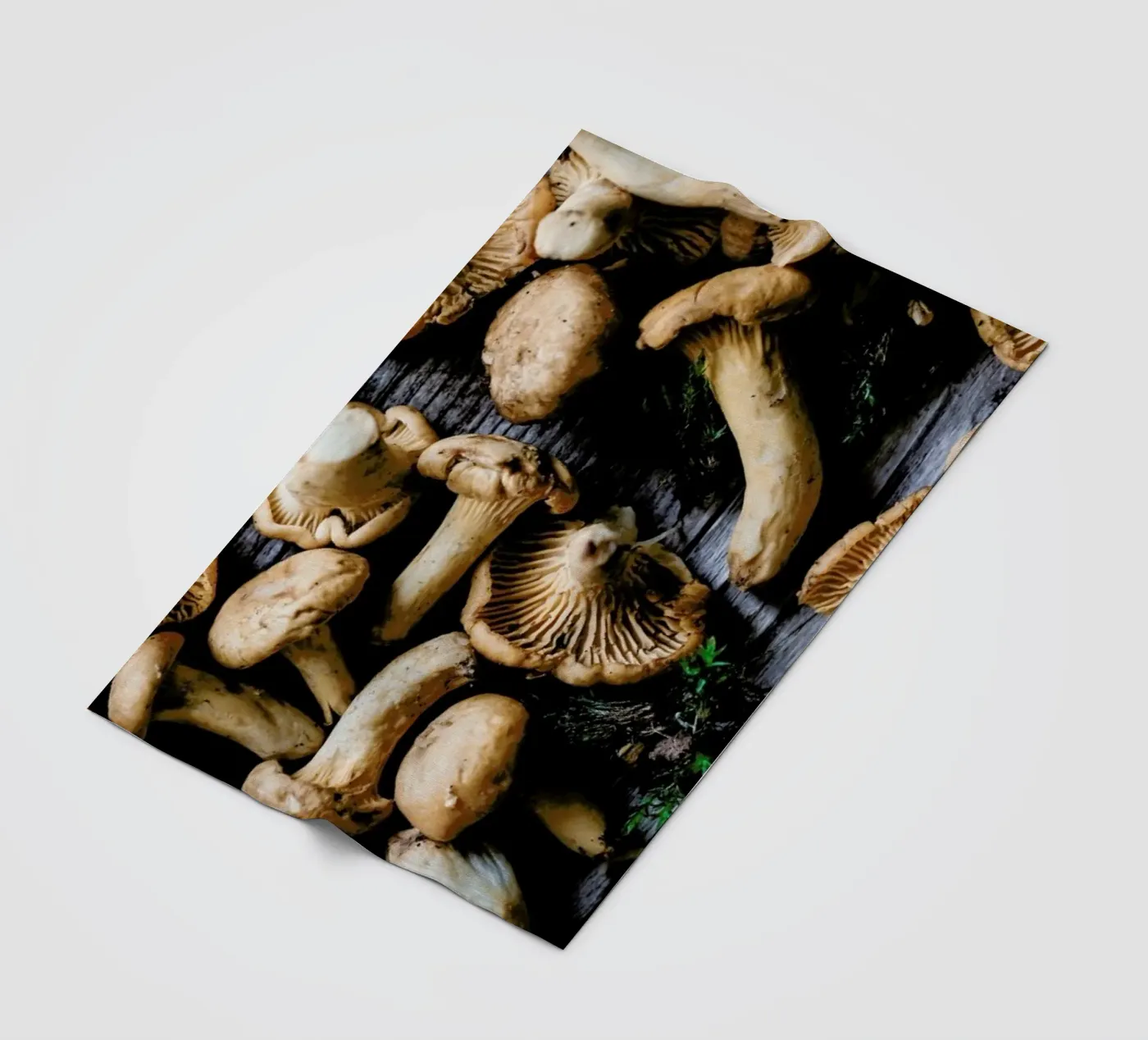 Pfifferlinge fleece blanket by Eat this