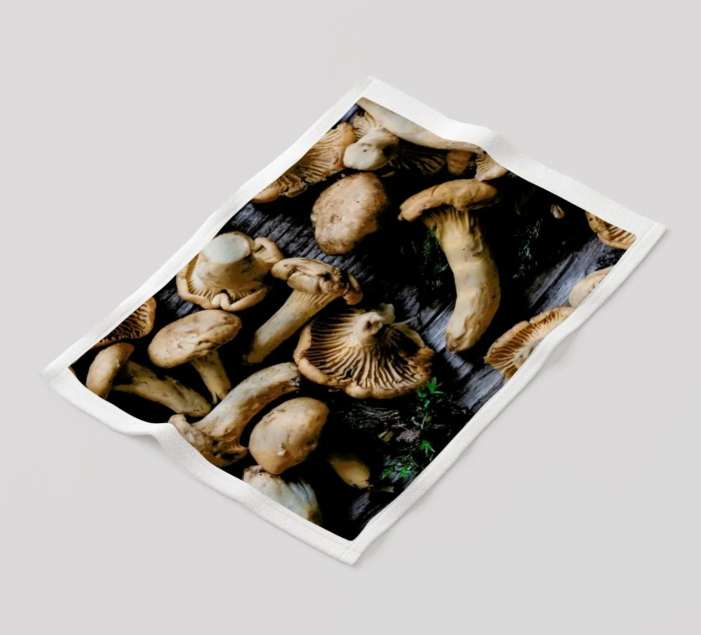 Pfifferlinge fleece blanket by Eat this