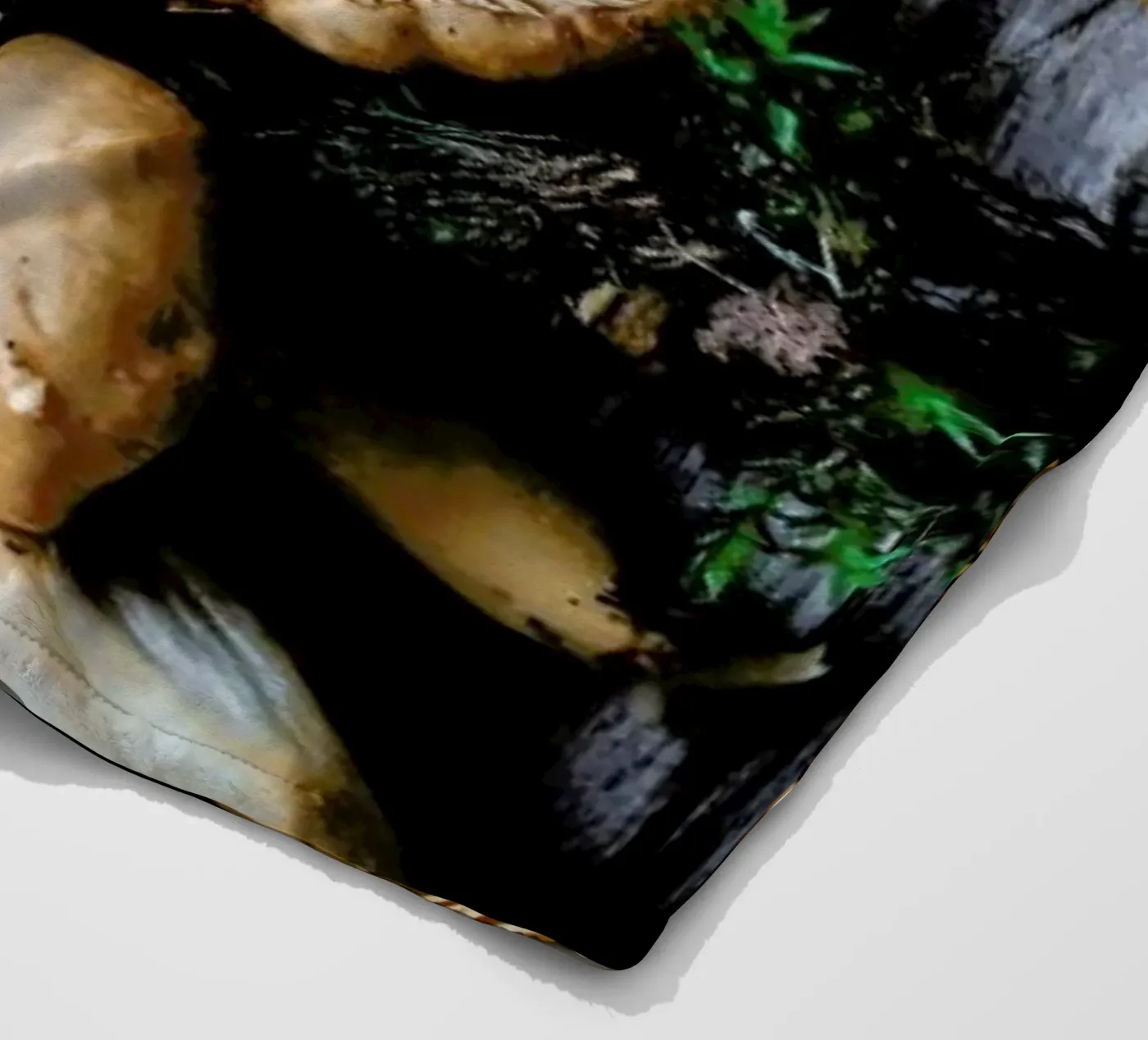 Pfifferlinge fleece blanket by Eat this