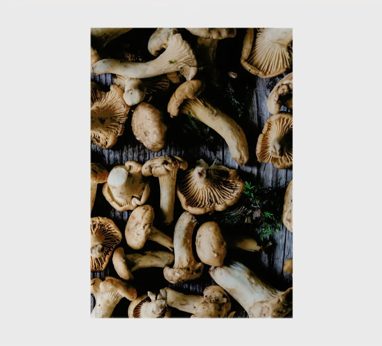 Pfifferlinge notebook by Eat this