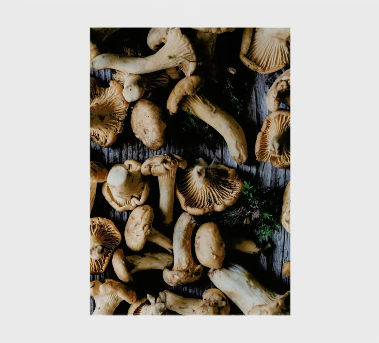 Pfifferlinge notebook by Eat this