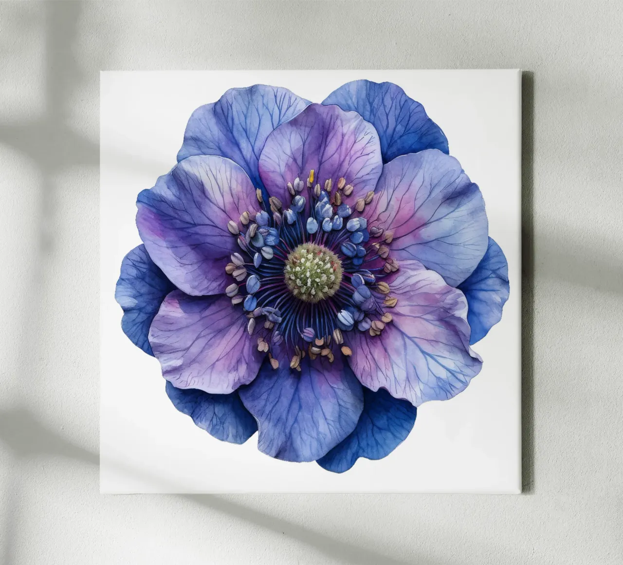 Scabiosa Flower canvas by Bold Blooms