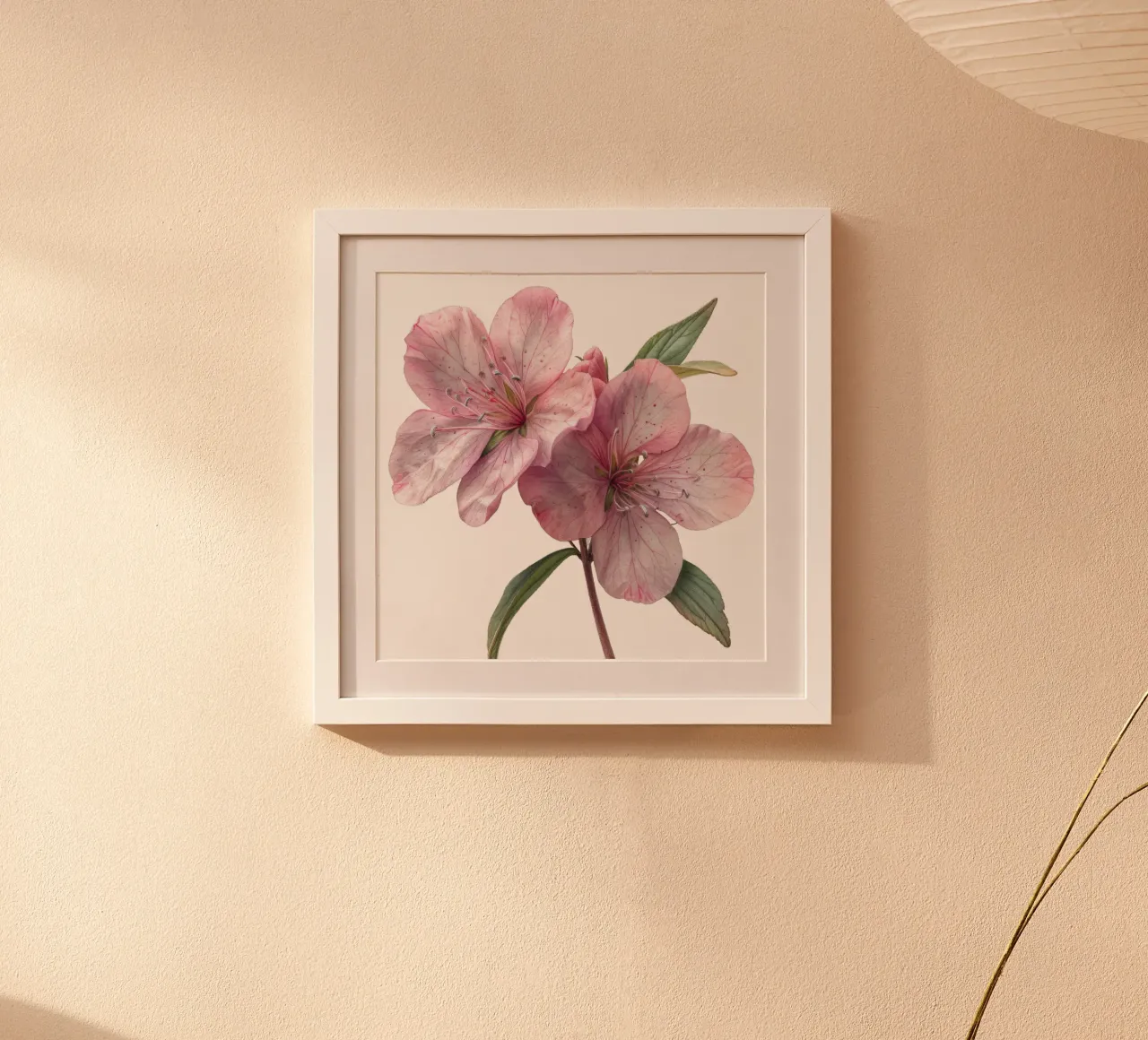 Zeepkruid Bloem poster van Bold Blooms