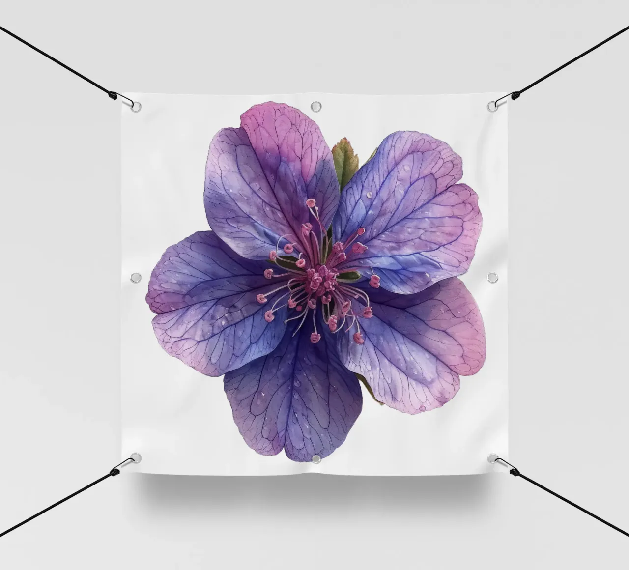 Soapwort Flower pvc cover by Bold Blooms