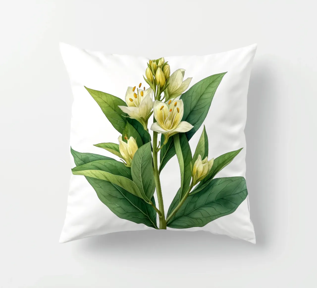 Fiore di foca delle Salomone cuscino da Bold Blooms