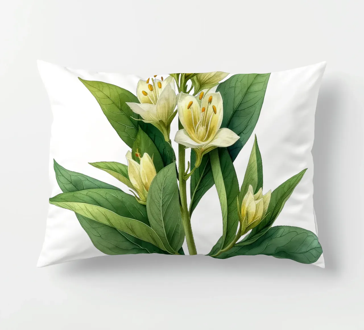 Fiore di foca delle Salomone cuscino da Bold Blooms