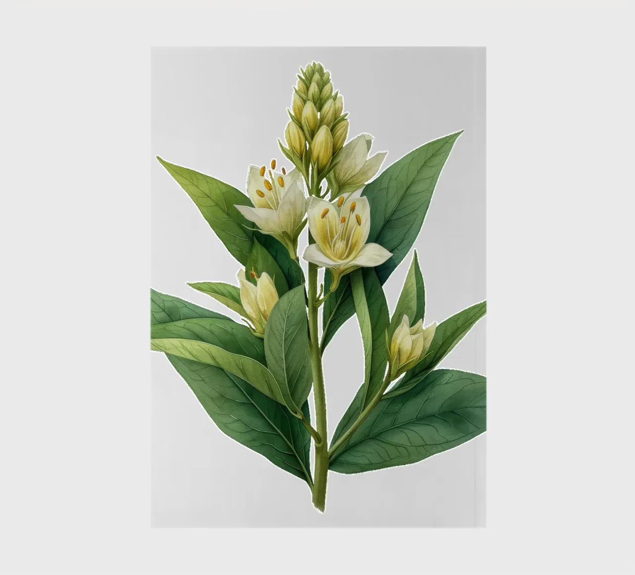 Solomons Seal Flower notebook by Bold Blooms
