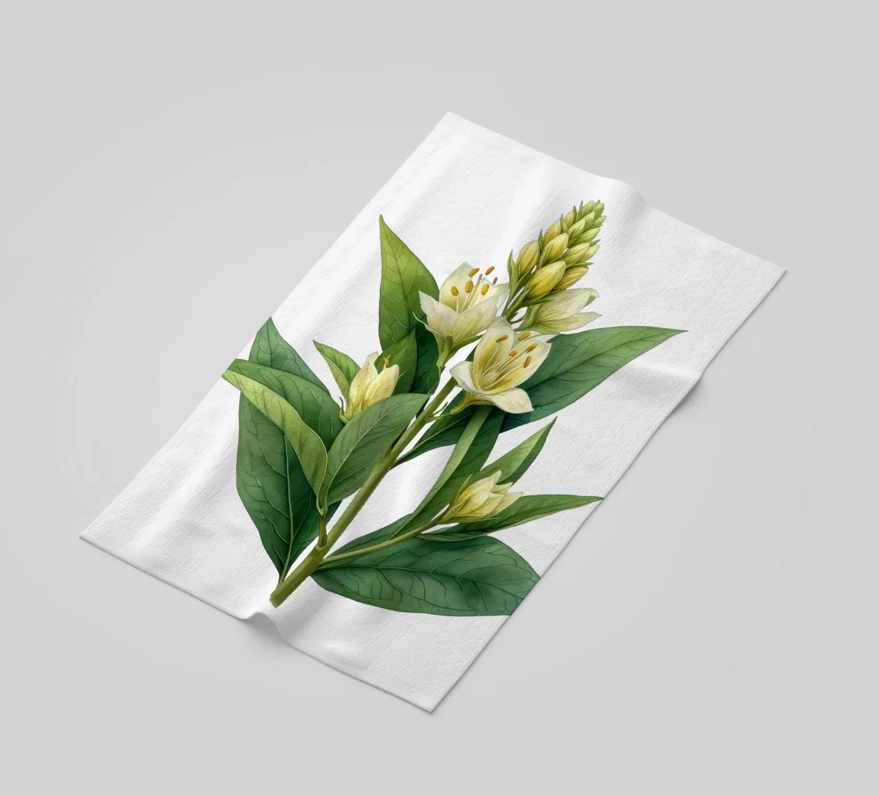 Fiore di foca delle Salomone telo mare da Bold Blooms
