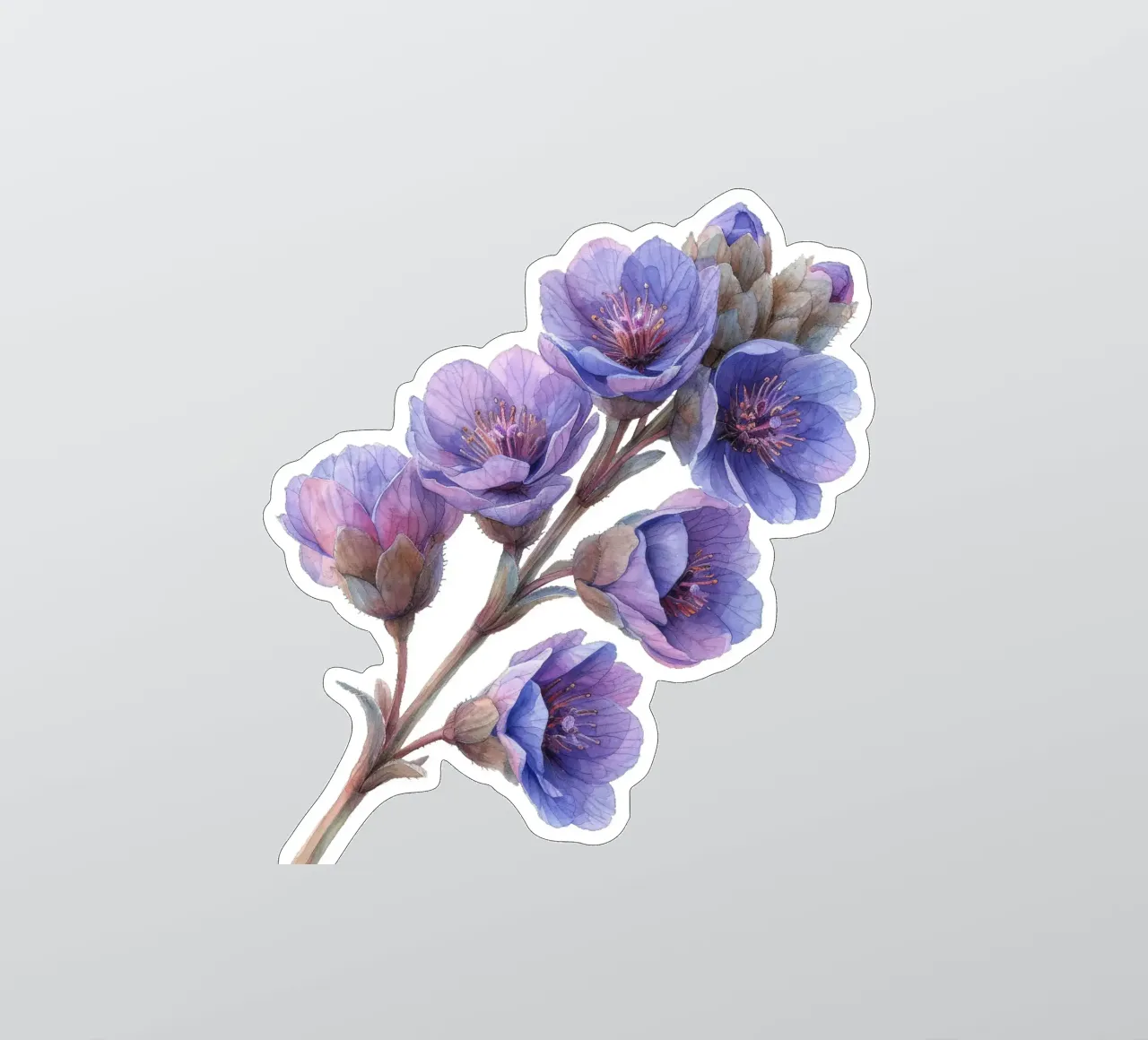 Statice Flower sticker by Bold Blooms