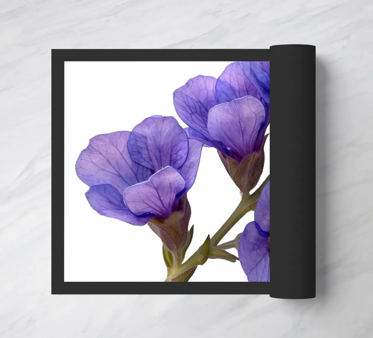Fiore di statice zerbino da Bold Blooms