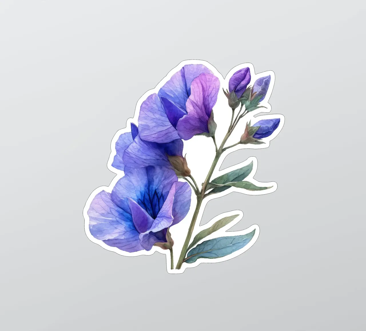 Fleur de pois de senteur autocollant de Bold Blooms