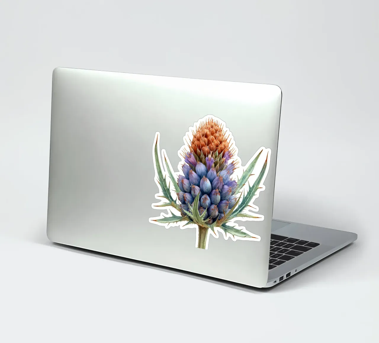 Teasel Flower sticker by Bold Blooms